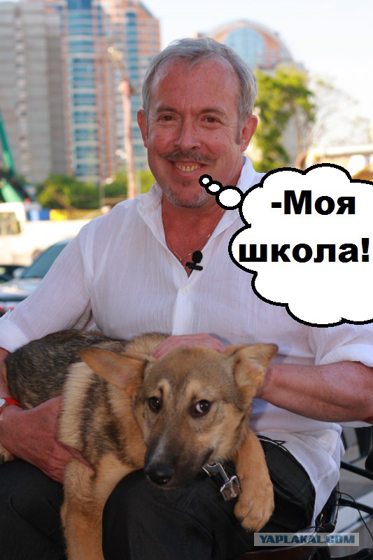 Ах ты, собака!