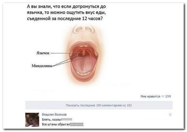 Смешные комментарии из соц.сетей
