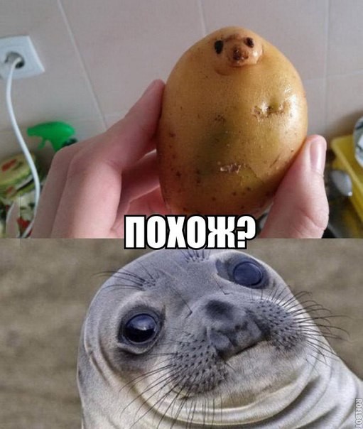 Разное из тырнэта