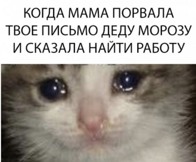 Свежие мемы и демотиваторы