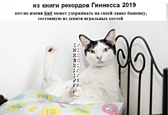 Подборка интересных и веселых картинок 07.05.19