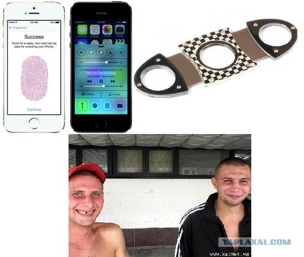 Опа, стоять!