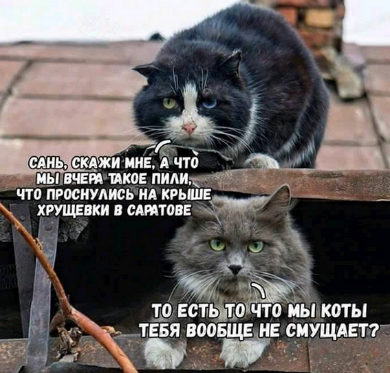 Алкопост выходного дня