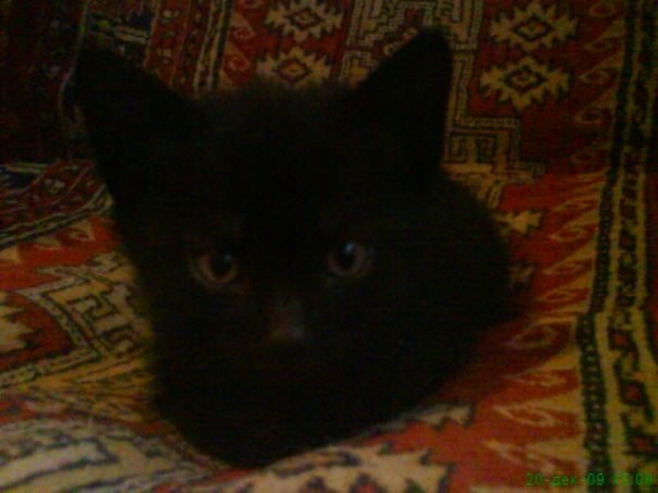 Почему хороших девочек не зовут замуж?