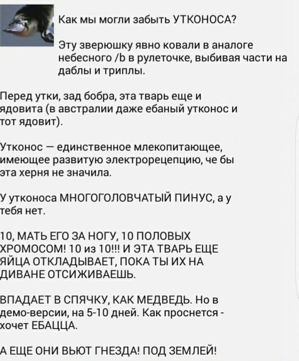 Древние мемы с ВК. Для тех кто забыл #6