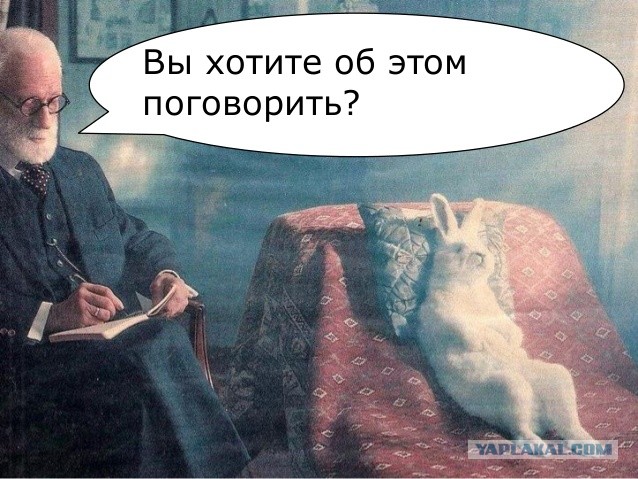 Перепутали царей, захватили Болгарию. Какую историю Украины преподают на онлайн-уроках во время карантина