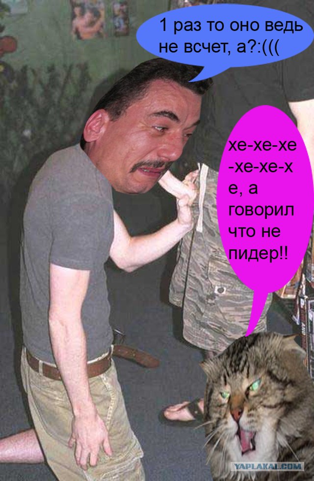 Злой кот