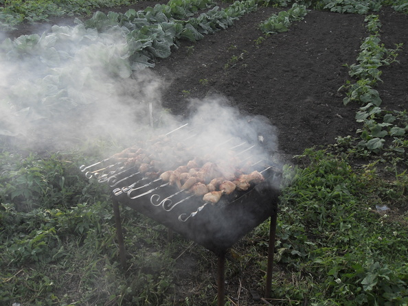 #ЯПовар. Электрошашлык из свинины с маринованным луком.