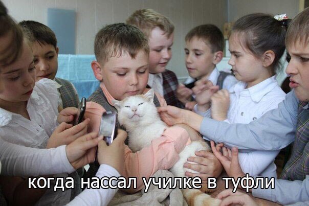 Картинки и мемы для настроения 025