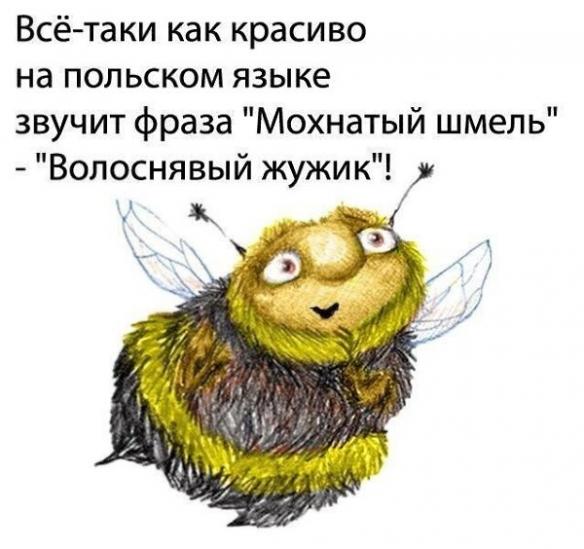 Винегрет из картинок боянистых и не очень для настроения или просто скоротать время