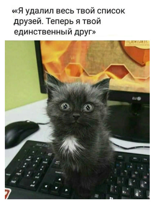 Всякие разные картинки 16.03.21