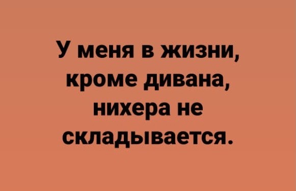 Юмор и прикольные картинки
