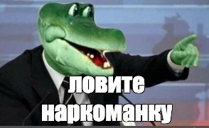 СК начал проверку песни Манижи