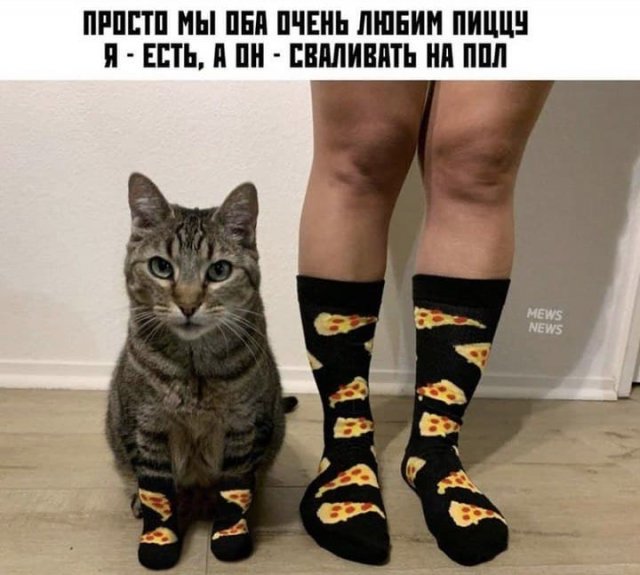 Картинки и мемы для настроения