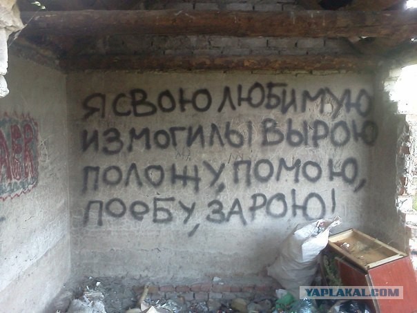 Картинки всякие 04.07.21