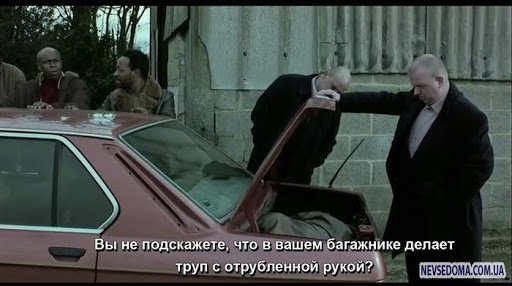 Супруги 2 суток провели на дереве, спасаясь от медведя на Камчатке
