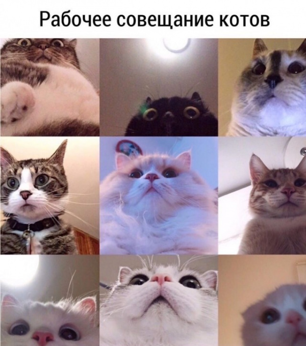 Картинки и мемы, всем прекрасных выходных