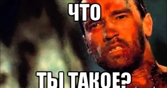 Добраутра, коллеги!