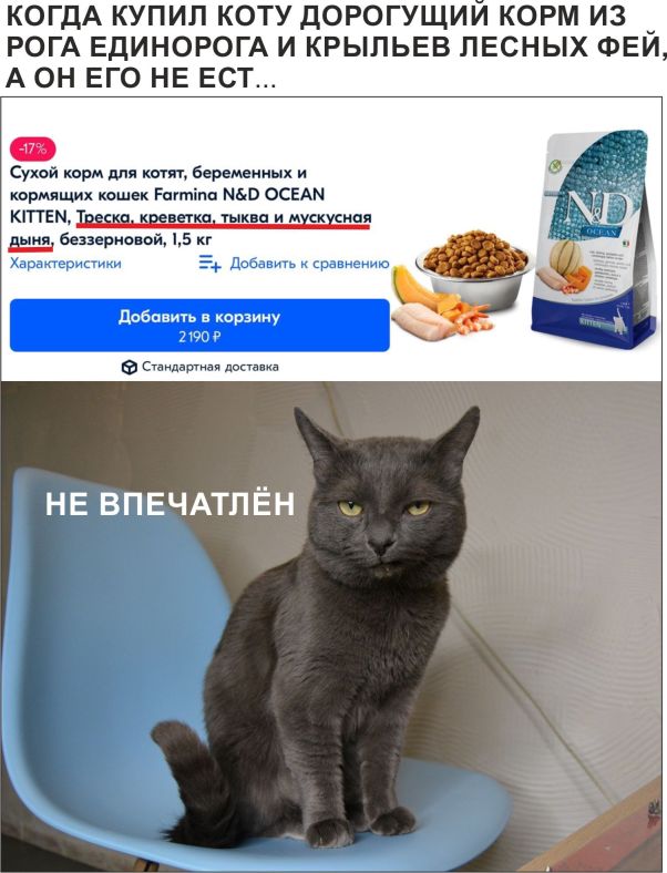 Весёлый полтишок 18.02