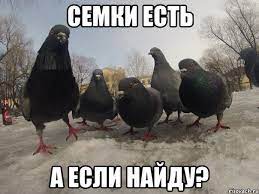 А вы жарите семечки?