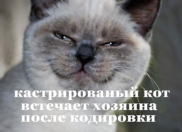 Так себе картинки 14.04.22