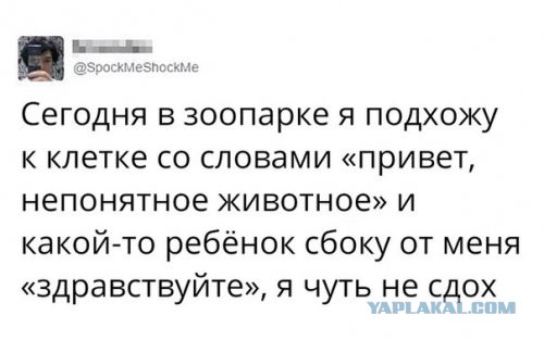 Немного пятничных и где то смешных картинок