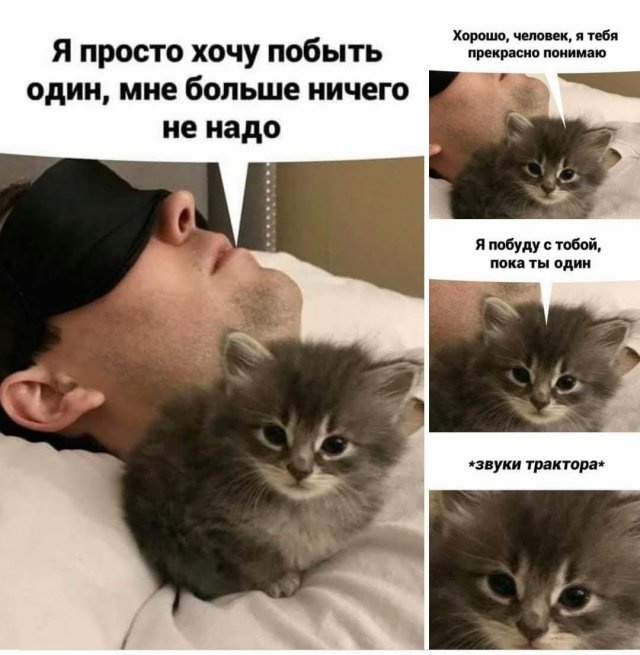 Немного картинок для настроения - 114