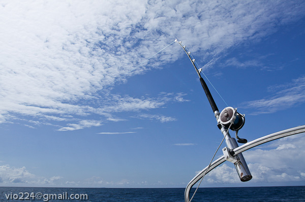 Сейшеллы октябрь 2012