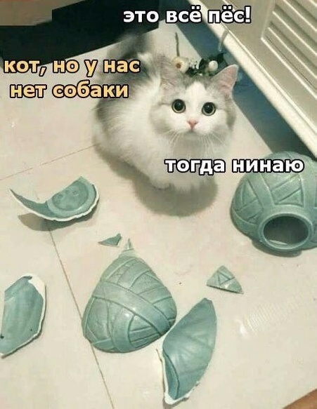 Прикольные и просто красивые картинки 11.11.2022