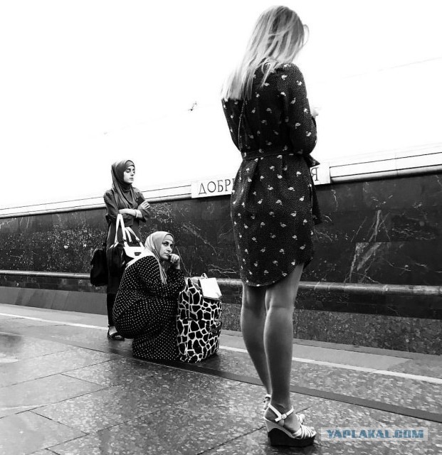 Без комментариев