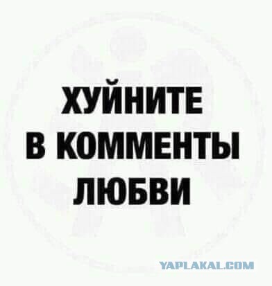 Весёлый полтишок 17.01.23