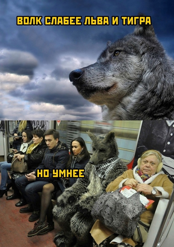 Немного картинок для настроения - 133