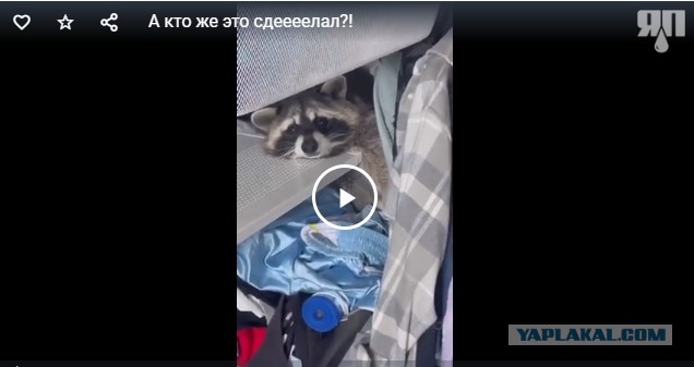 А кто же это сдеееелал?!