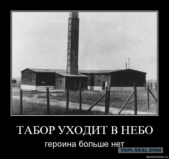 Путина попросили отменить термин «инфоцыгане»