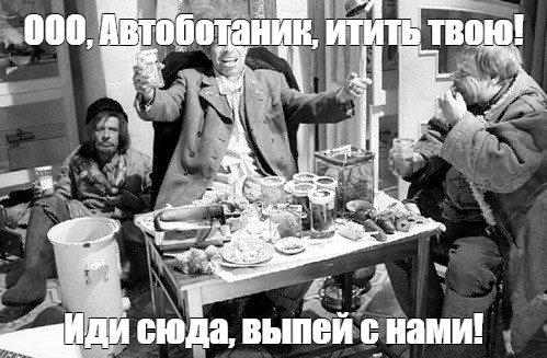 Капоту шёл 11ый год