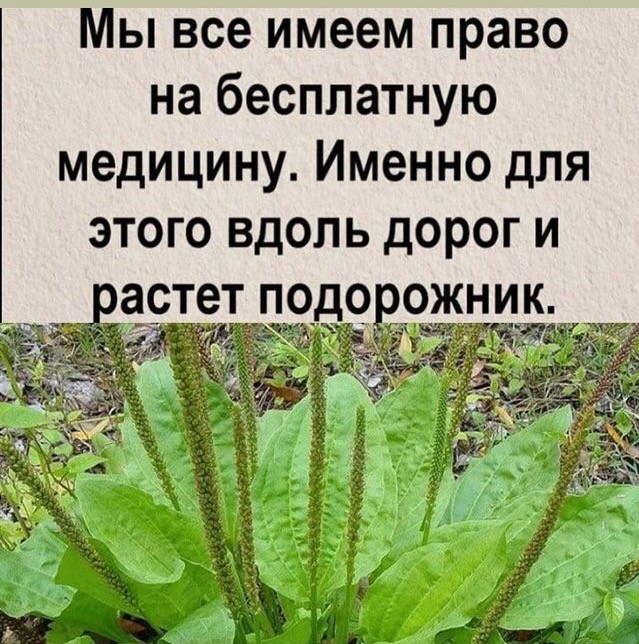 С 1 сентября все рецептурные препараты будут продаваться в аптеках строго по рецептам