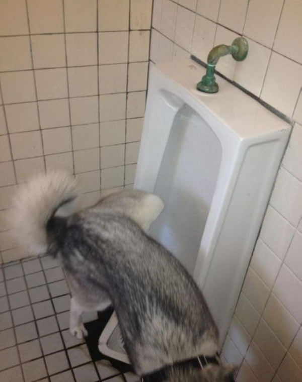 Фотоподпорка мирного времени