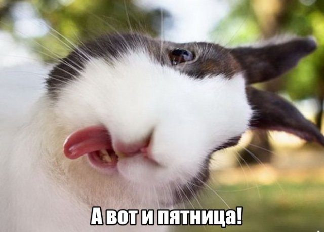 Дело было в пятницу