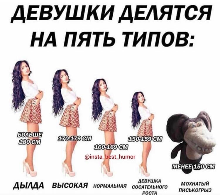 Типы девушек прикол. Типы девушек прикол