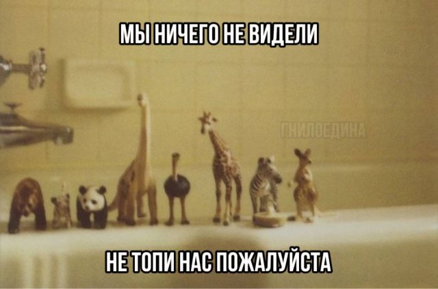 Так себе картинки 15.10.24
