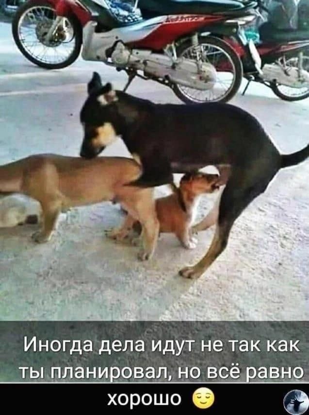 Деградация