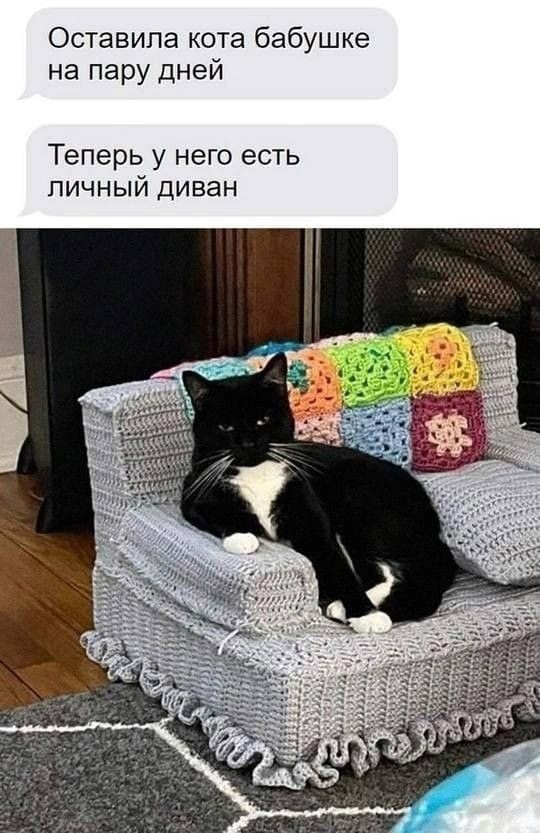 Так себе картинки 22.02.25
