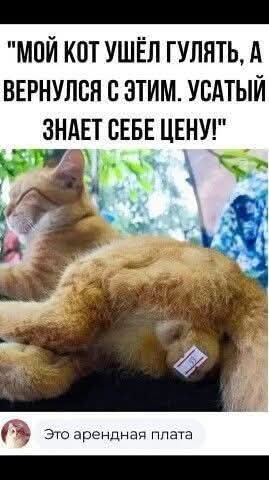 Картинки разные с надписями и без