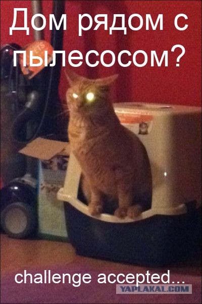 Фотожаба: Злой Кот
