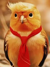 Миллионы американцев вышли на митинг против Трампа