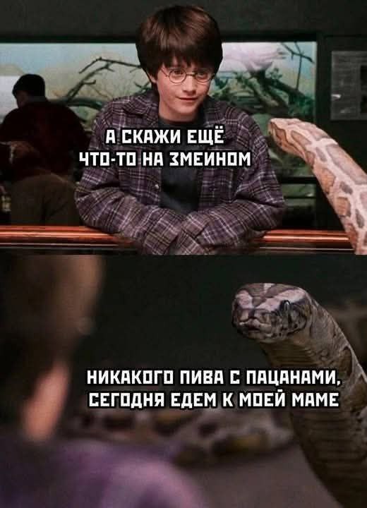 Картинки для деградации 70 (разной степени свежести)