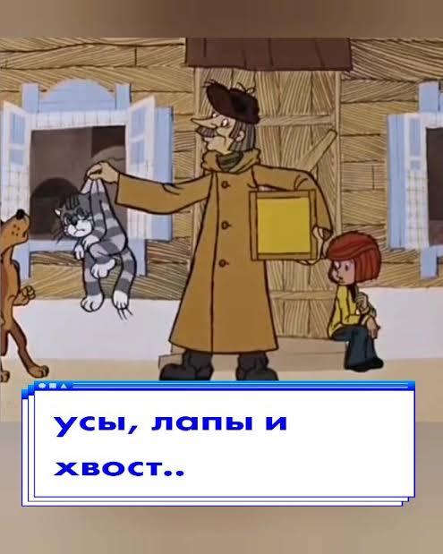 Про поход в туалет,  блуждающий нерв и бесоёбство
