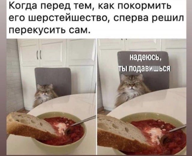 Картинки разные с надписями и без