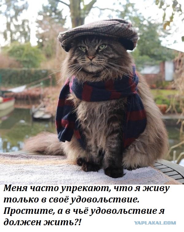 Смерть мужчин