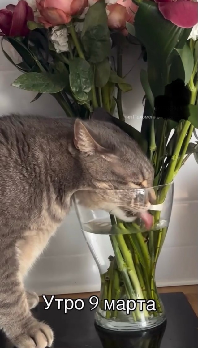 Утро 9 марта